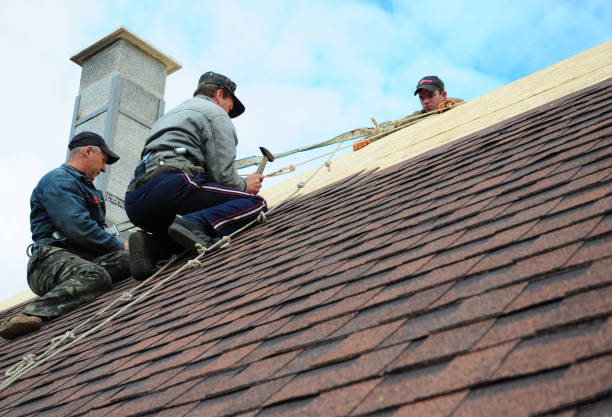 Best Roof Maintenance Services  in Falling Waters, WV