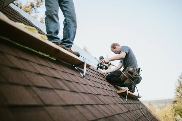 Best Gutter Installation and Roofing  in Falling Waters, WV